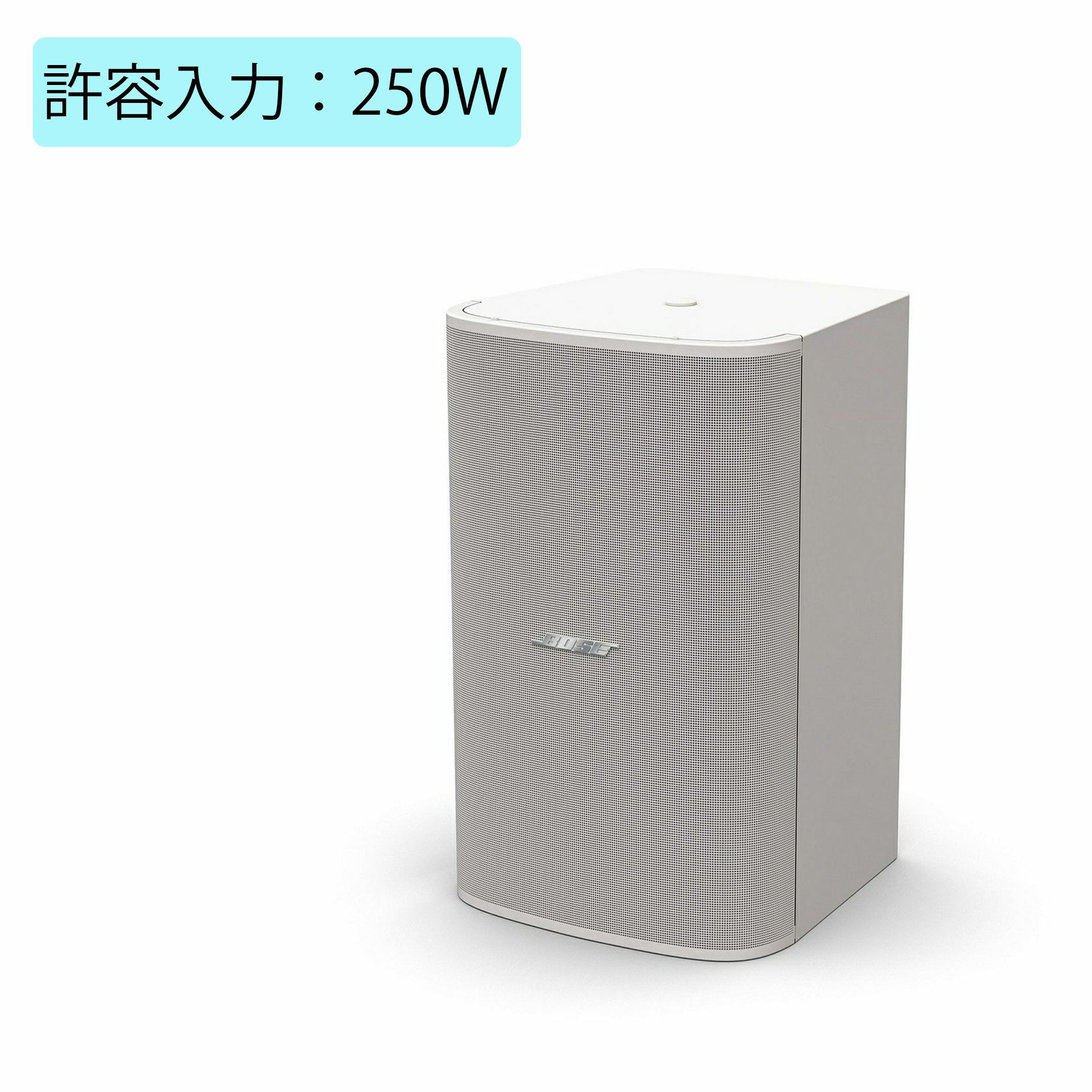 BOSE ボーズ DM10S-SUB SG WHT サブウーファー 白 250W | JATO online shop